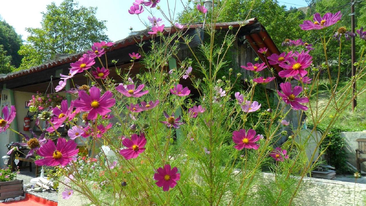 Camping Panoramique Du Verdon Castellane Kültér fotó