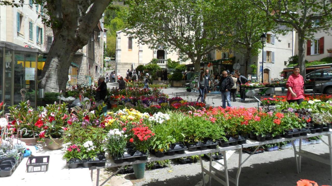Camping Panoramique Du Verdon Castellane Kültér fotó